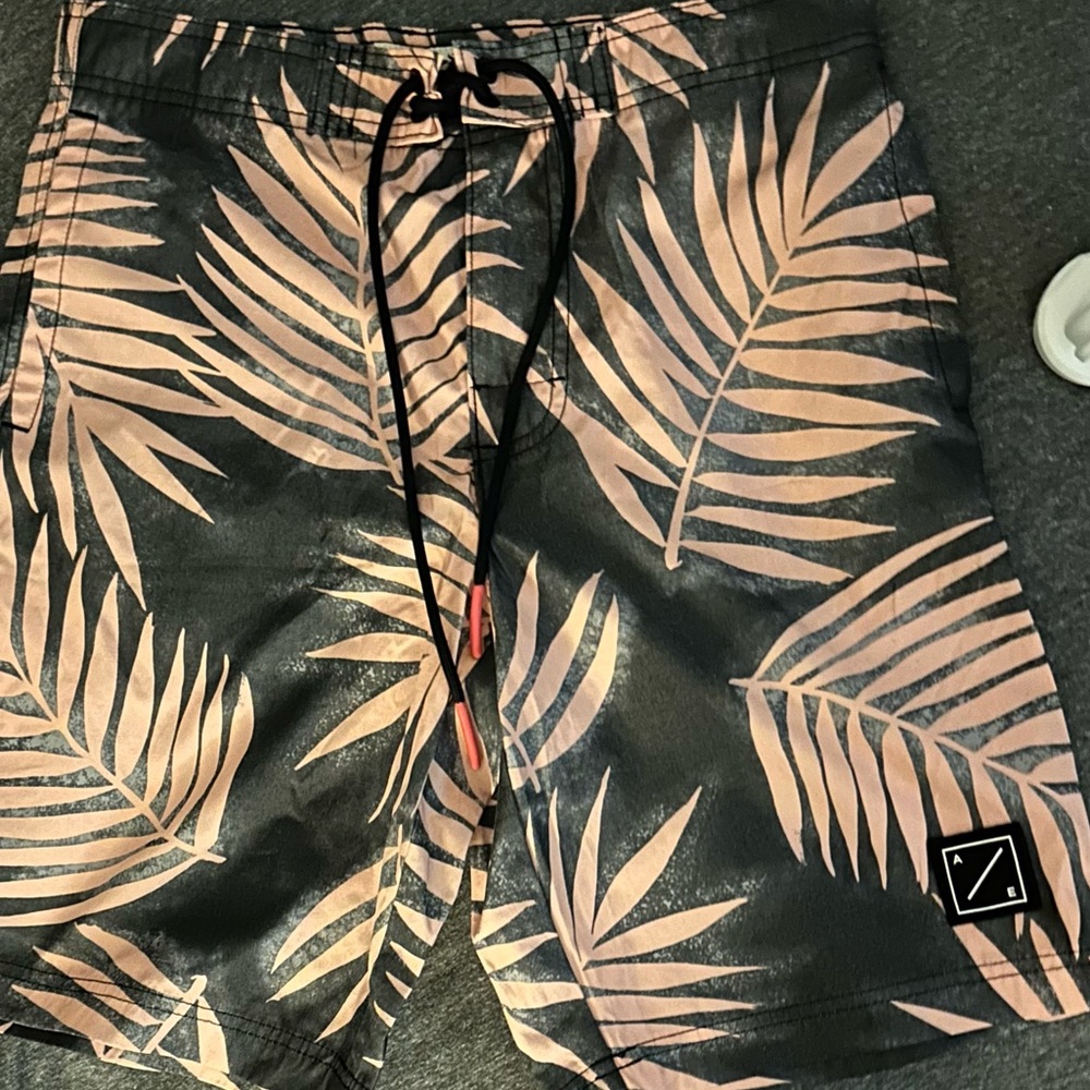 American Eagle Outfitters Men’s swimming shorts